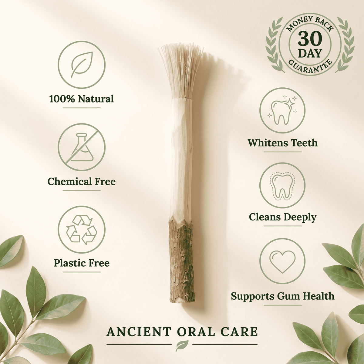 Natural Miswak Toothbrush Stick
