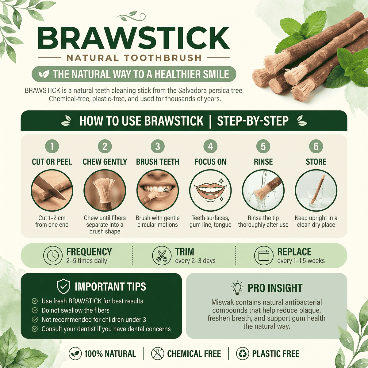 Natural Miswak Toothbrush Stick